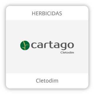 Card_Cartago