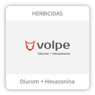 Card_Volpe