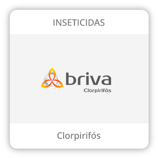 Card_Briva
