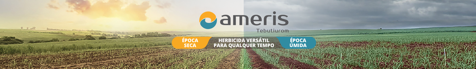 Ameris Ameris