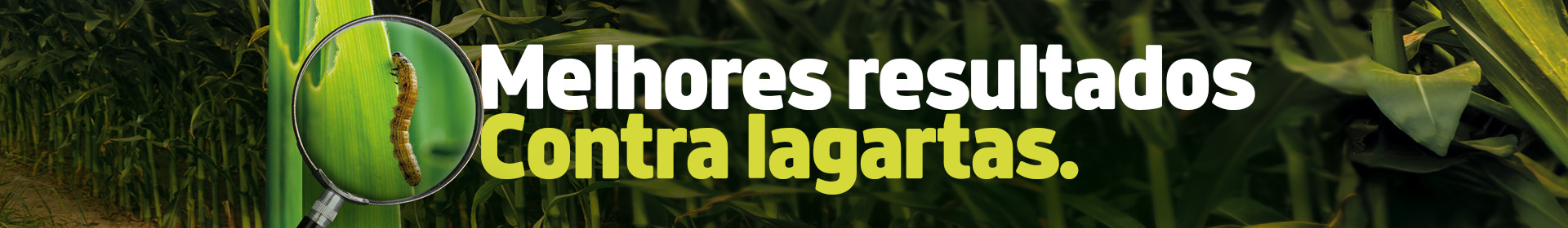 Briva - banner site Briva - banner site