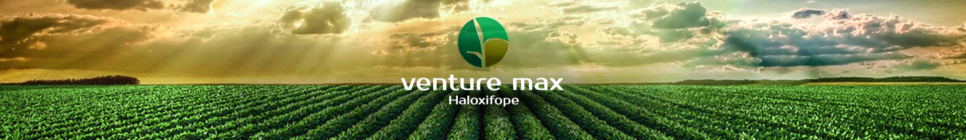 Venture Venture
