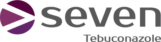 seven seven