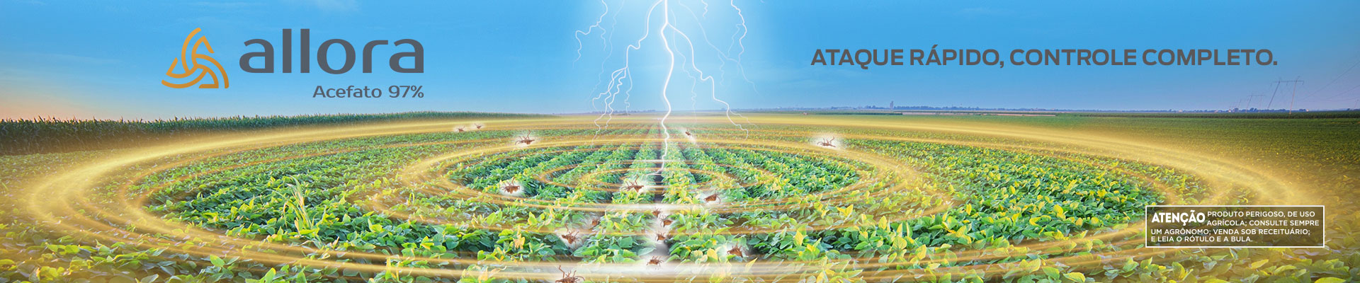 Inseticida Allora