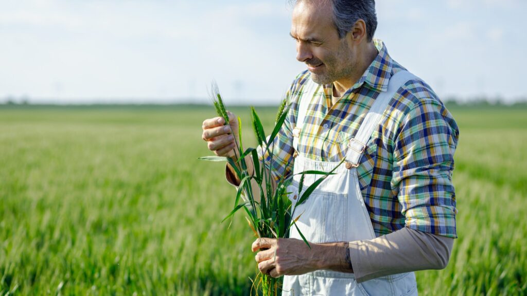 Fungos na agricultura: aliados ou inimigos? Fungos na agricultura: aliados ou inimigos?