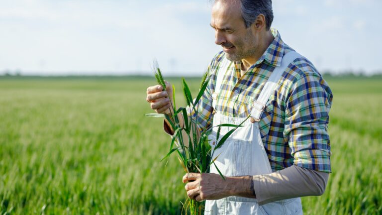 Fungos na agricultura: aliados ou inimigos?