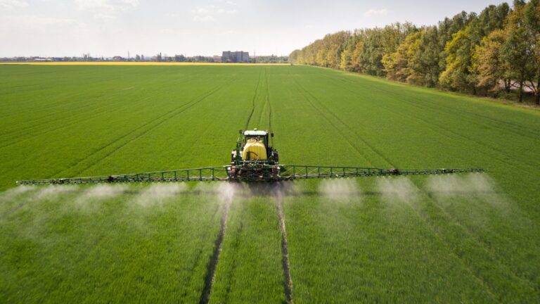 Conheça quais são os principais tipos de inseticidas agrícolas