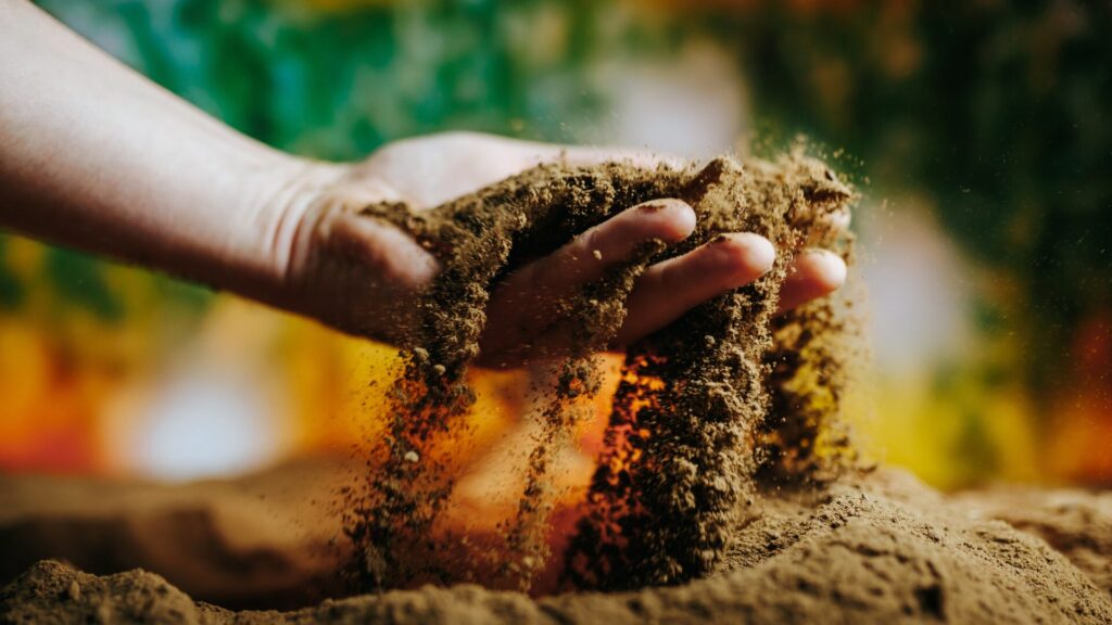 Manejo integrado de nutrientes: O que é e como aplicar a metodologia 4C