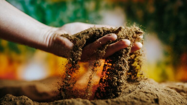 Manejo integrado de nutrientes: O que é e como aplicar a metodologia 4C