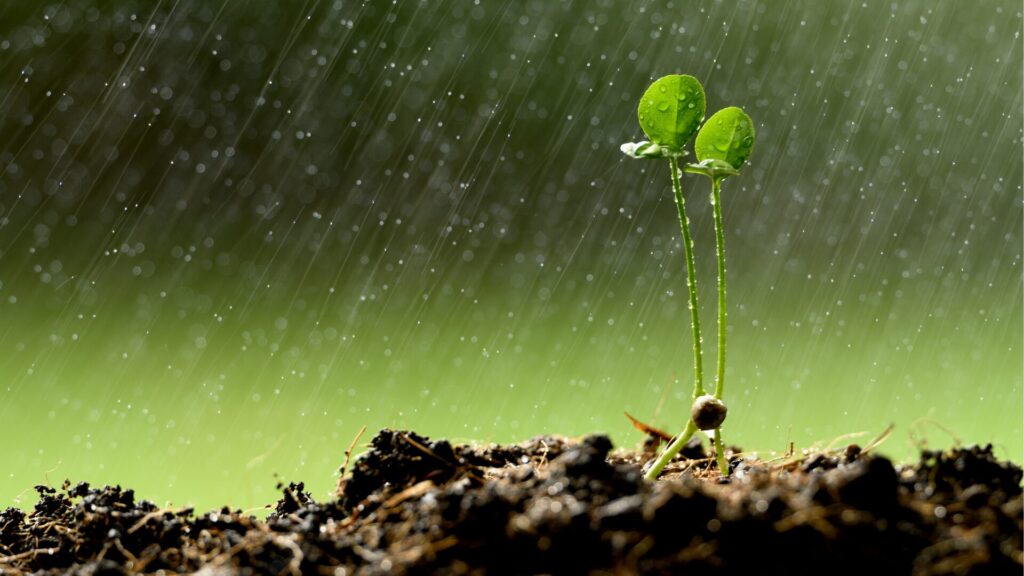 Chuvas de Verão: 6 principais desafios e como se preparar