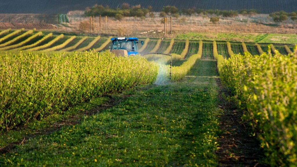 Herbicida pós-emergente