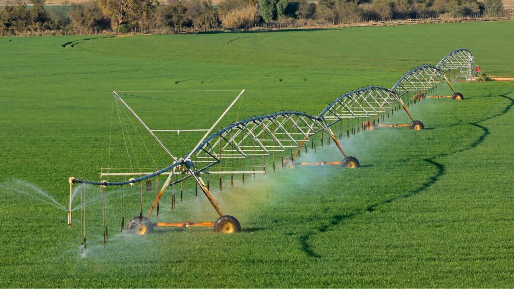 Agricultura irrigada: o que é, como funciona e métodos de irrigação