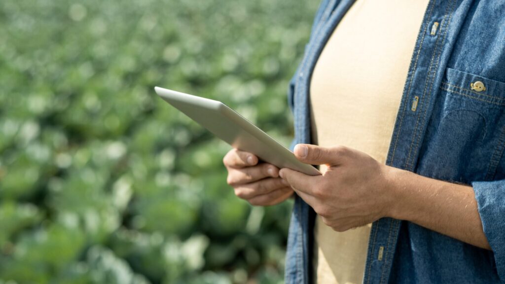 ZARC: o que é e impacto para agricultura